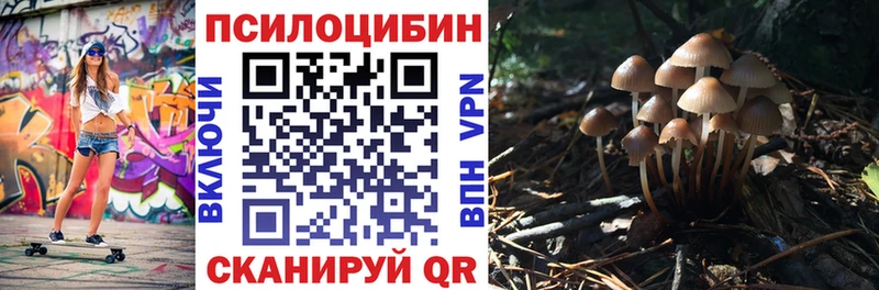 цены наркотик  дарк нет какой сайт  Псилоцибиновые грибы прущие грибы  Шарыпово 