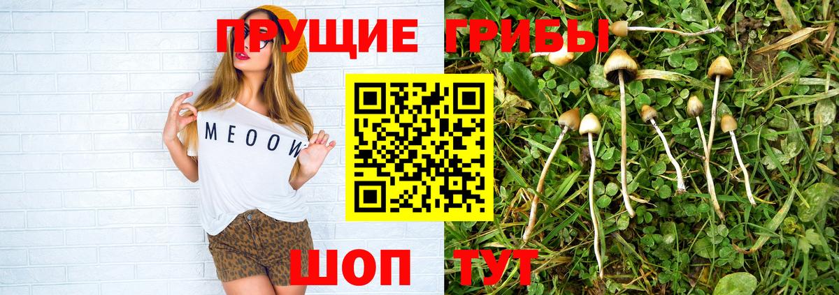 Галлюциногенные грибы Magic Shrooms Шарыпово