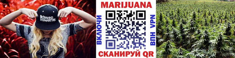 как найти   Шарыпово  Бошки Шишки MAZAR 